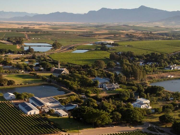 Ridgeback Wines Ridgeback Wines