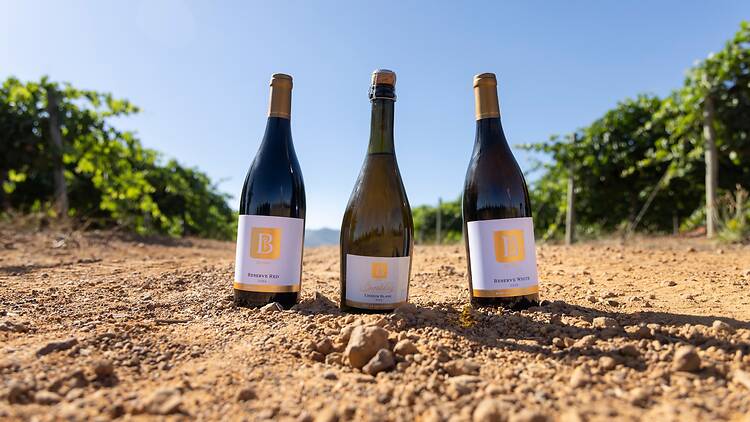 Boland Cellar Boland Cellar