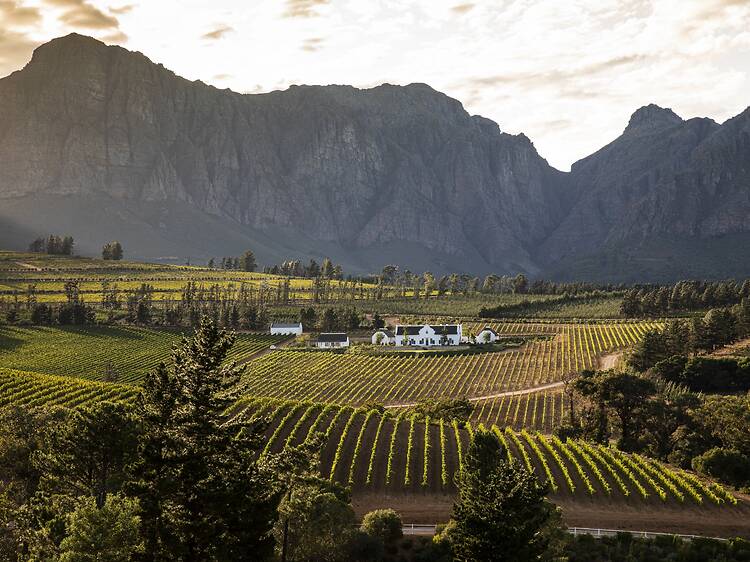 Ariel view of Brookdale Estate Brookdale Estate