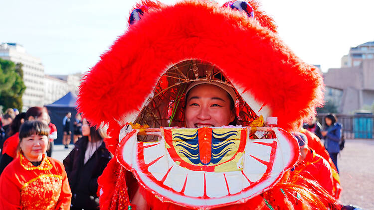 Madrid Spring Festival