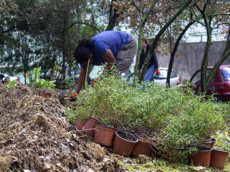 As melhores coisas grátis para fazer em Lisboa esta semana As melhores coisas grátis para fazer em Lisboa esta semana