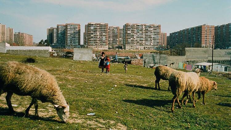 Madrid. Memoria visual de la Transición (1976-1979) Madrid. Memoria visual de la Transición (1976-1979). Fundación Manuel Fernández 'Lito'-Anastasio de Gracia