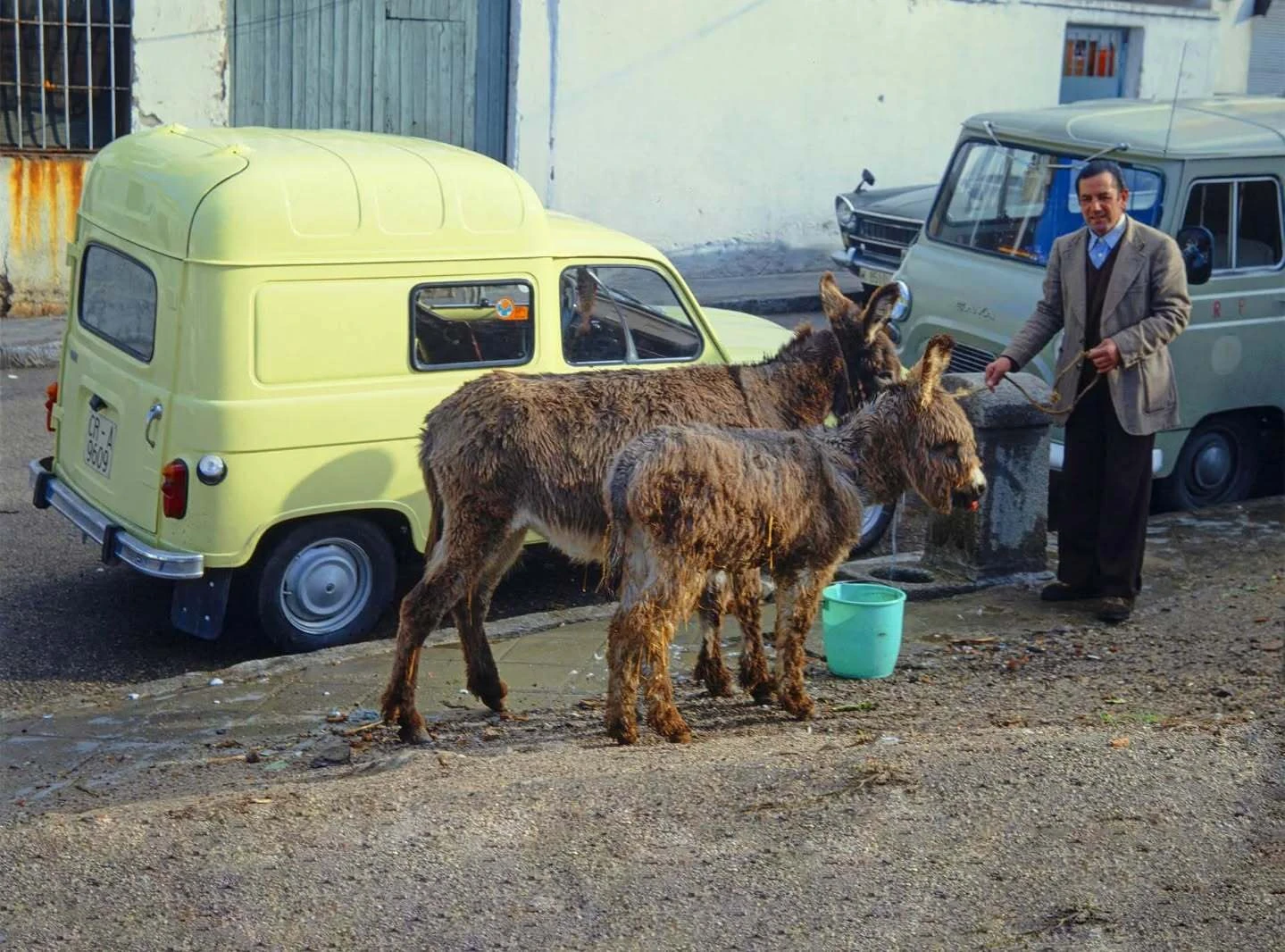 Madrid. Memoria visual de la Transici&oacute;n (1976-1979). Fundaci&oacute;n Manuel Fern&aacute;ndez 'Lito'-Anastasio de Gracia 