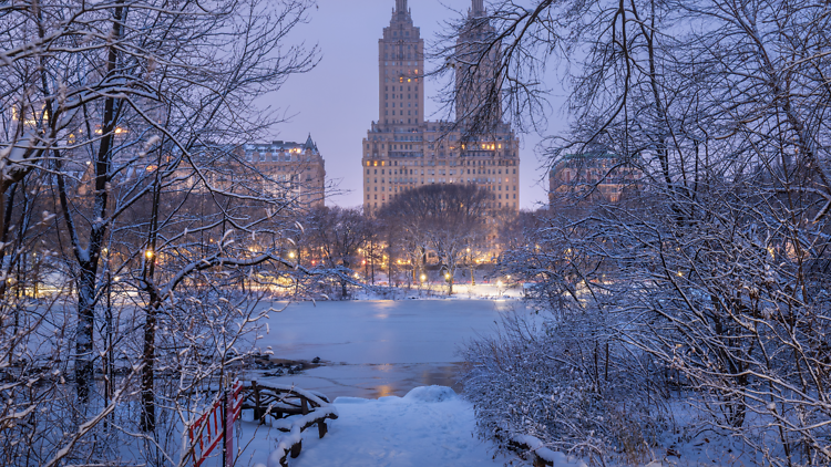 15 beautiful pictures of NYC under snow