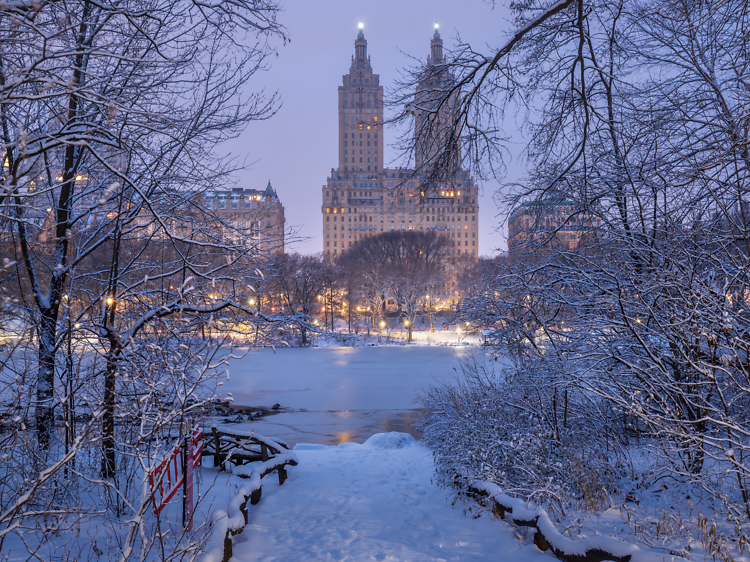 15 beautiful pictures of NYC under snow
