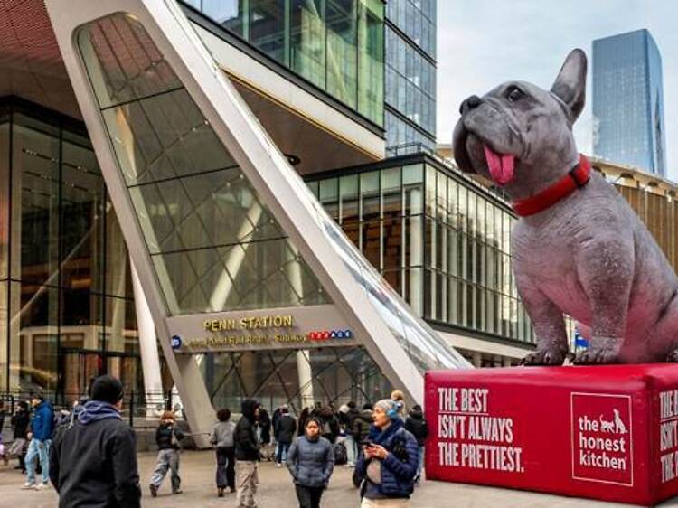 These enormous inflatable dogs will cruise down Manhattan streets this February