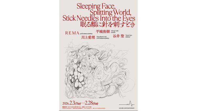 Sleeping Face, Splitting World, Stick Needles Into the Eyes 眠る顔に針を刺すとき