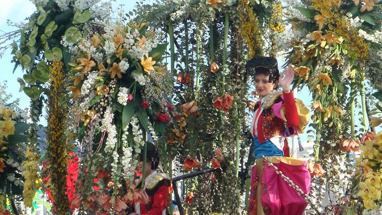 As batalhas de flores