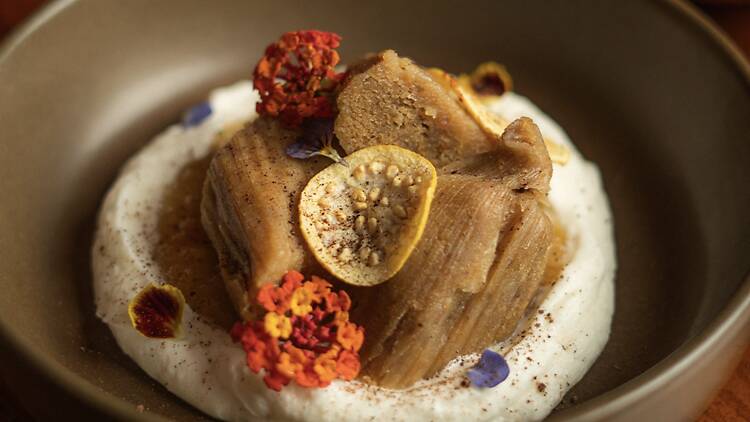 Festival de la Candelaria en Corazón de Maguey