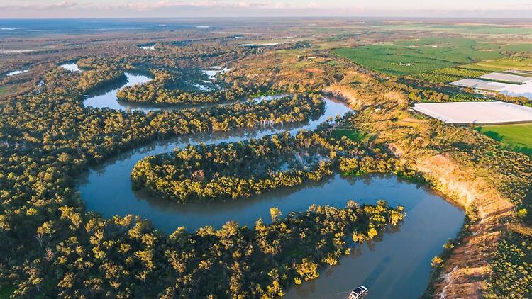 Aerial of river and trees