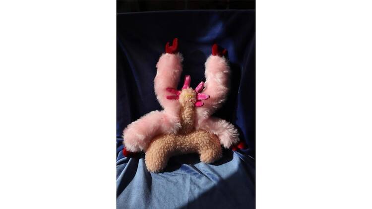 チルっと、モフっと Weird buddies！