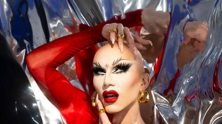 sasha velour, drag queen
