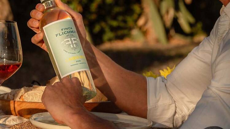 Low-Alcohol Chardonnay – Finca Flichman