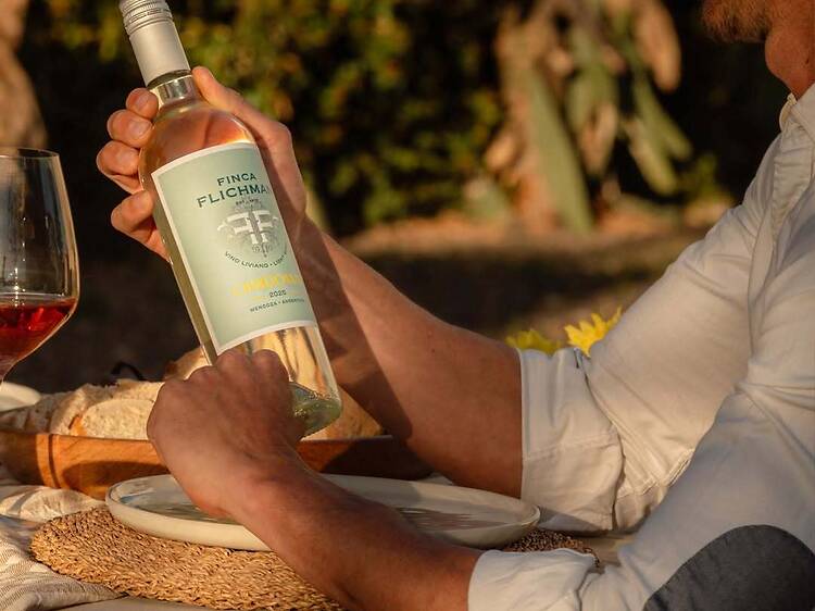 Low-Alcohol Chardonnay – Finca Flichman