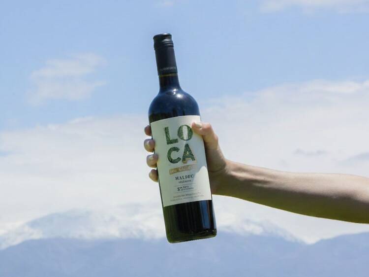LoCa Malbec – Domaine Bousquet