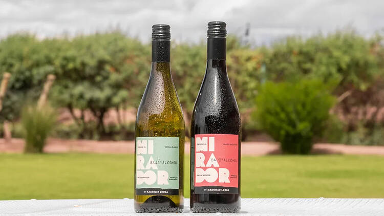 El Mirador Ancellotta Malbec – Bodega Mauricio Lorca