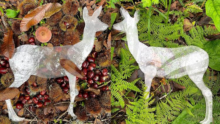 A Corça e a Mãe Terra