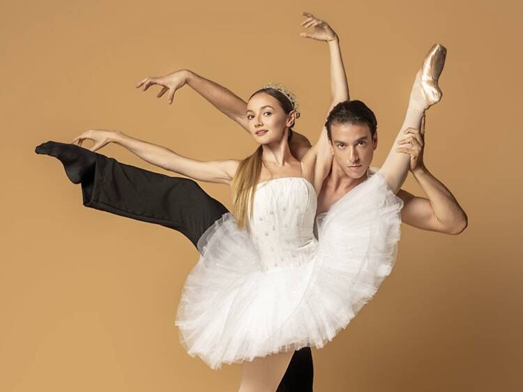 Ver dançar no Teatro Camões