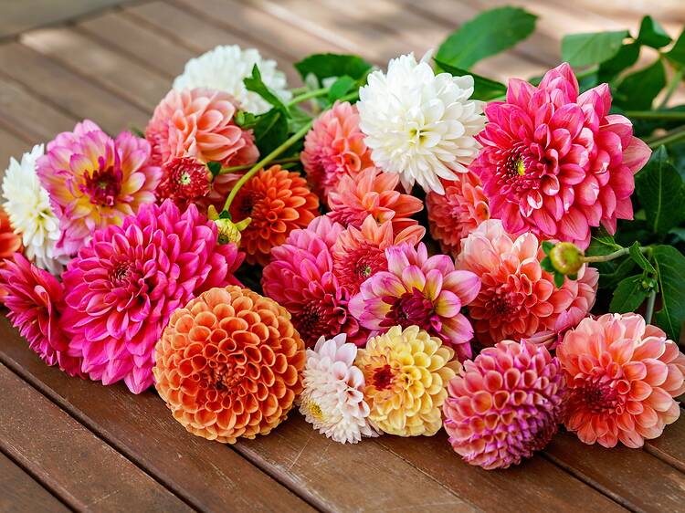 Flower Shop at Grand Central Terminal