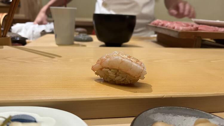 Sweet shrimp at Sushi Noz