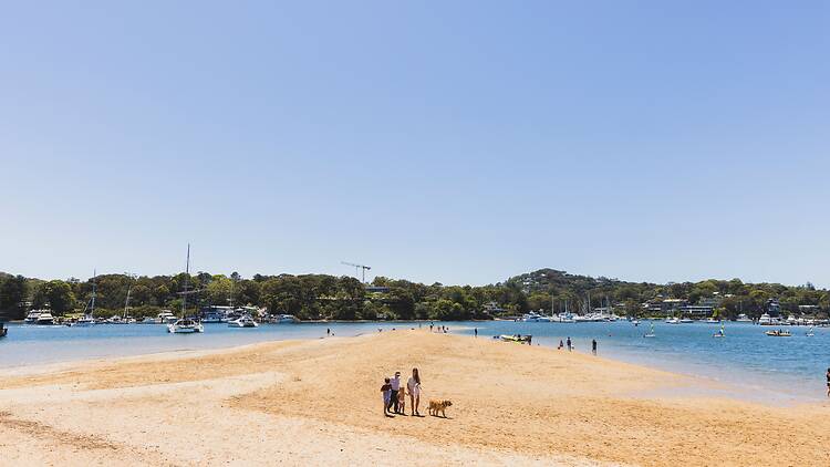 Family enjoying a day at Bayview Dog Park, Bayview.