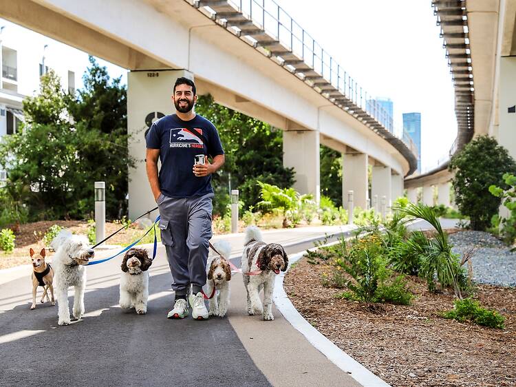 Chewy Bark Park Grand Opening Celebration
