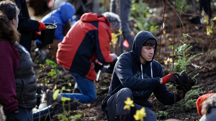 Miyawaki Forest at Gloria Molina Grand Park