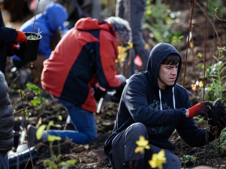 Miyawaki Forest at Gloria Molina Grand Park
