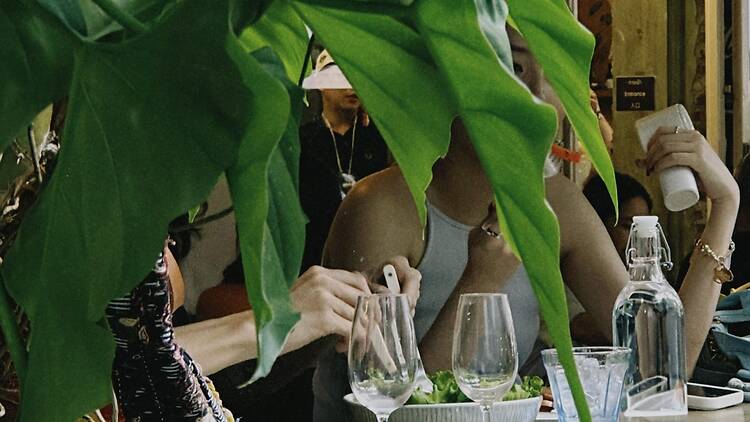 Sip wine slowly in leafy surroundings at GalileOasis Sip wine slowly in leafy surroundings at GalileOasis