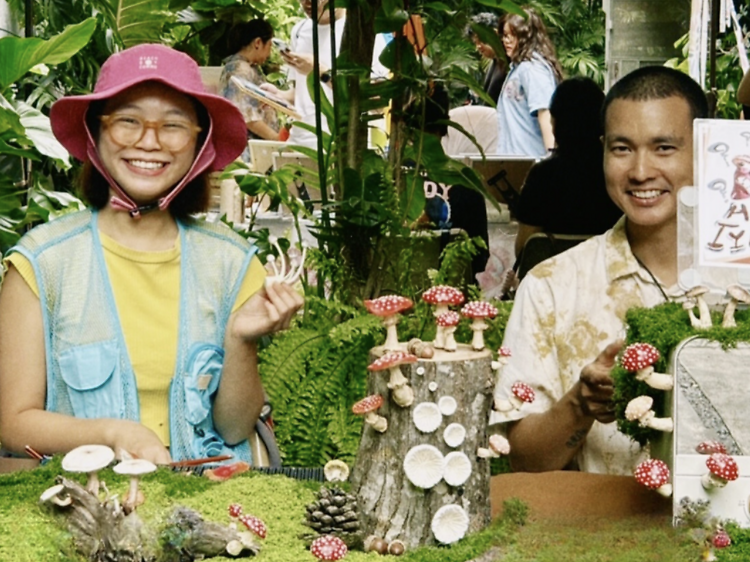 GalileOasis GalileOasis