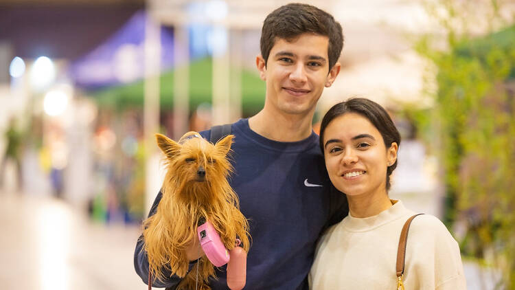 Pet Festival