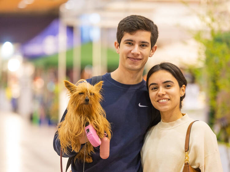 Pet Festival está de volta à FIL com experiências para toda a família