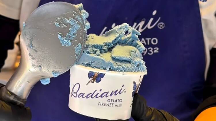 gelat, badiani gelat, badiani