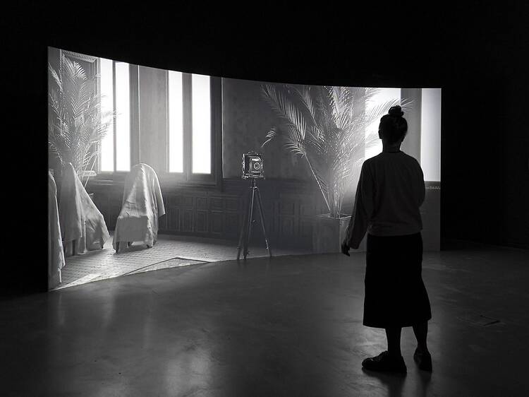 The Fold. Hoda Afshar