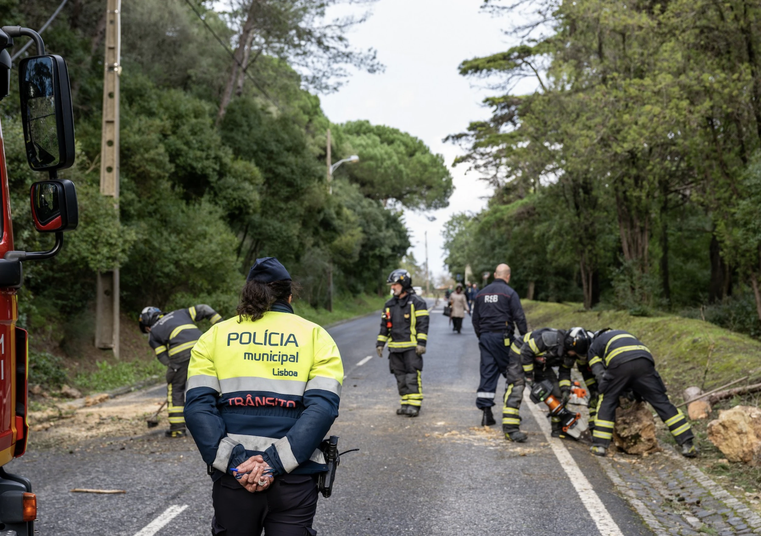 Parque Florestal de Monsanto