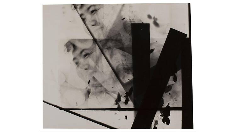 大西茂 写真と絵画