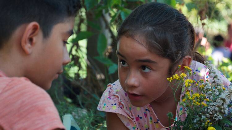 Historias del buen valle