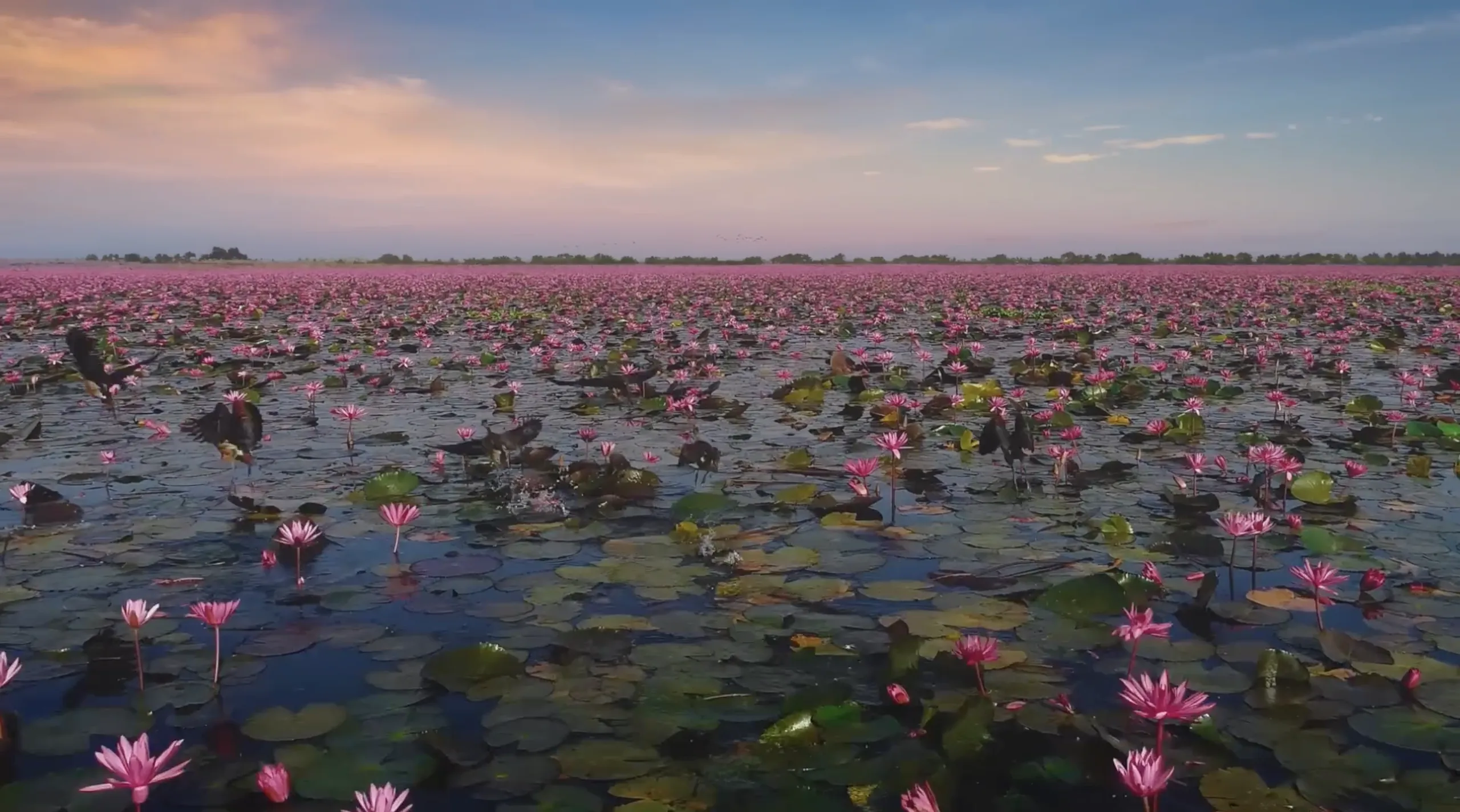 Tourism Authority of Thailand