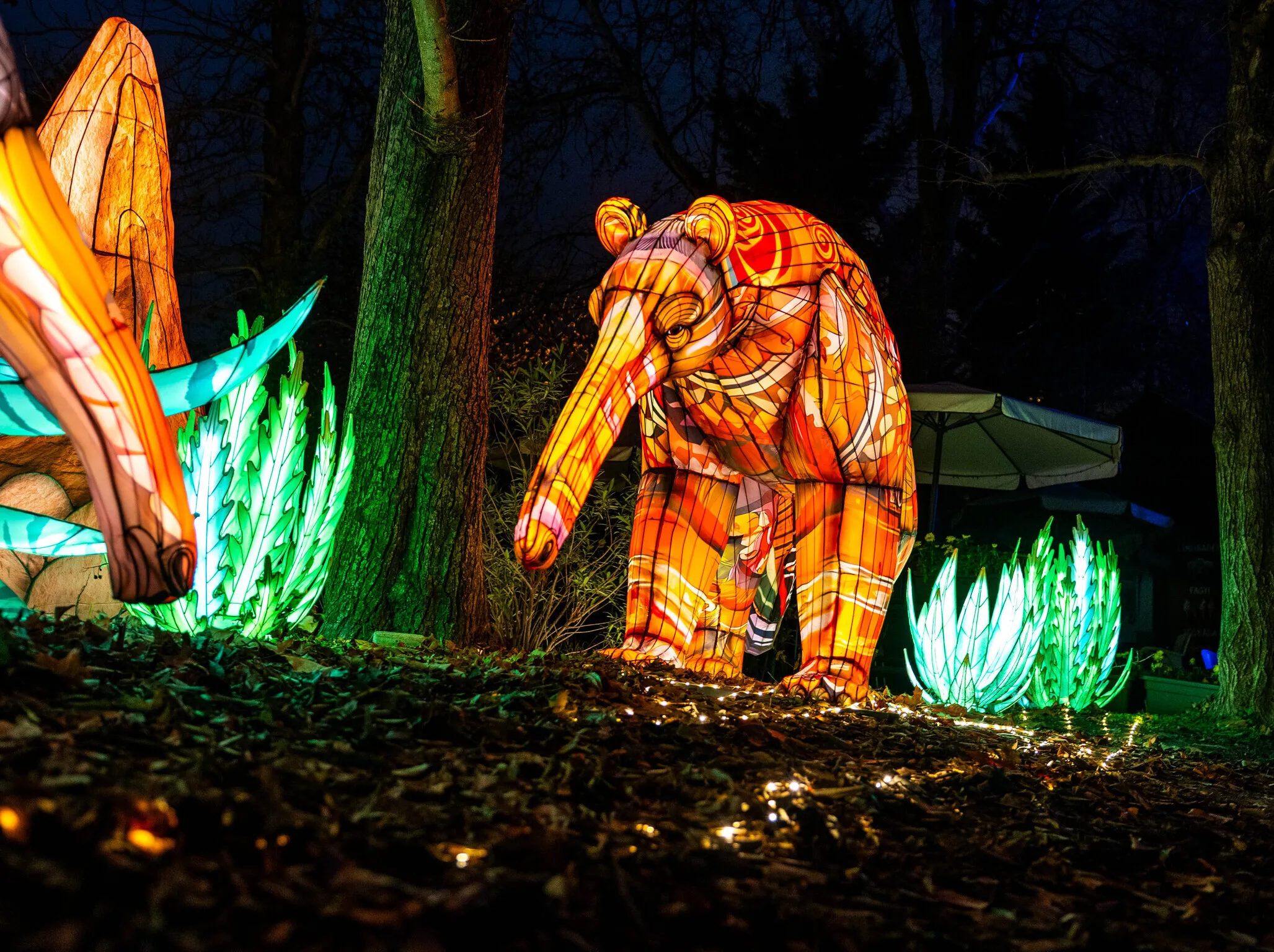Főv&aacute;rosi &Aacute;llat- &eacute;s N&ouml;v&eacute;nykert  Vil&aacute;g &aacute;llatai lampionfesztiv&aacute;l