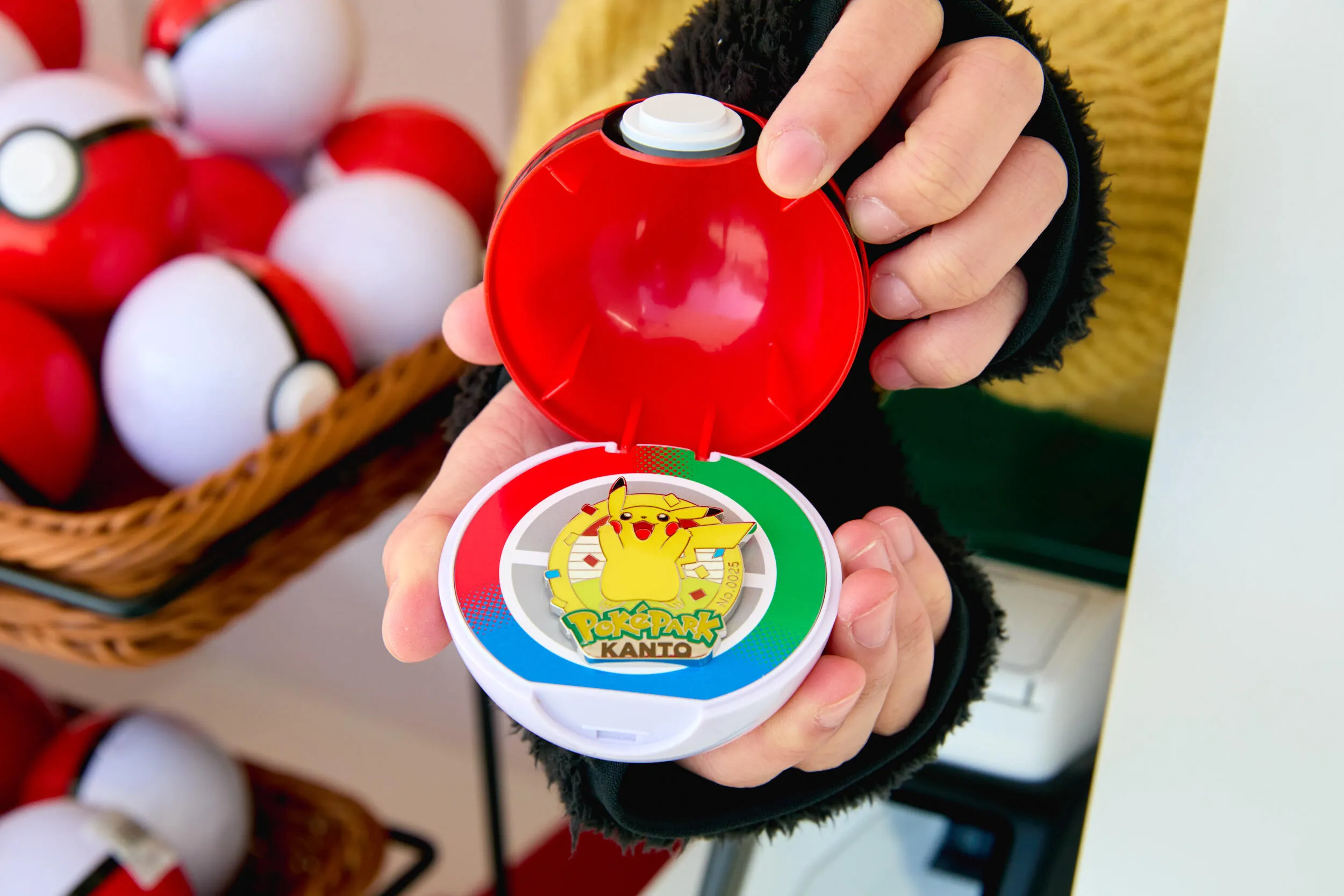 Sedge Town merch, Pok&eacute;Park Kanto pin badge