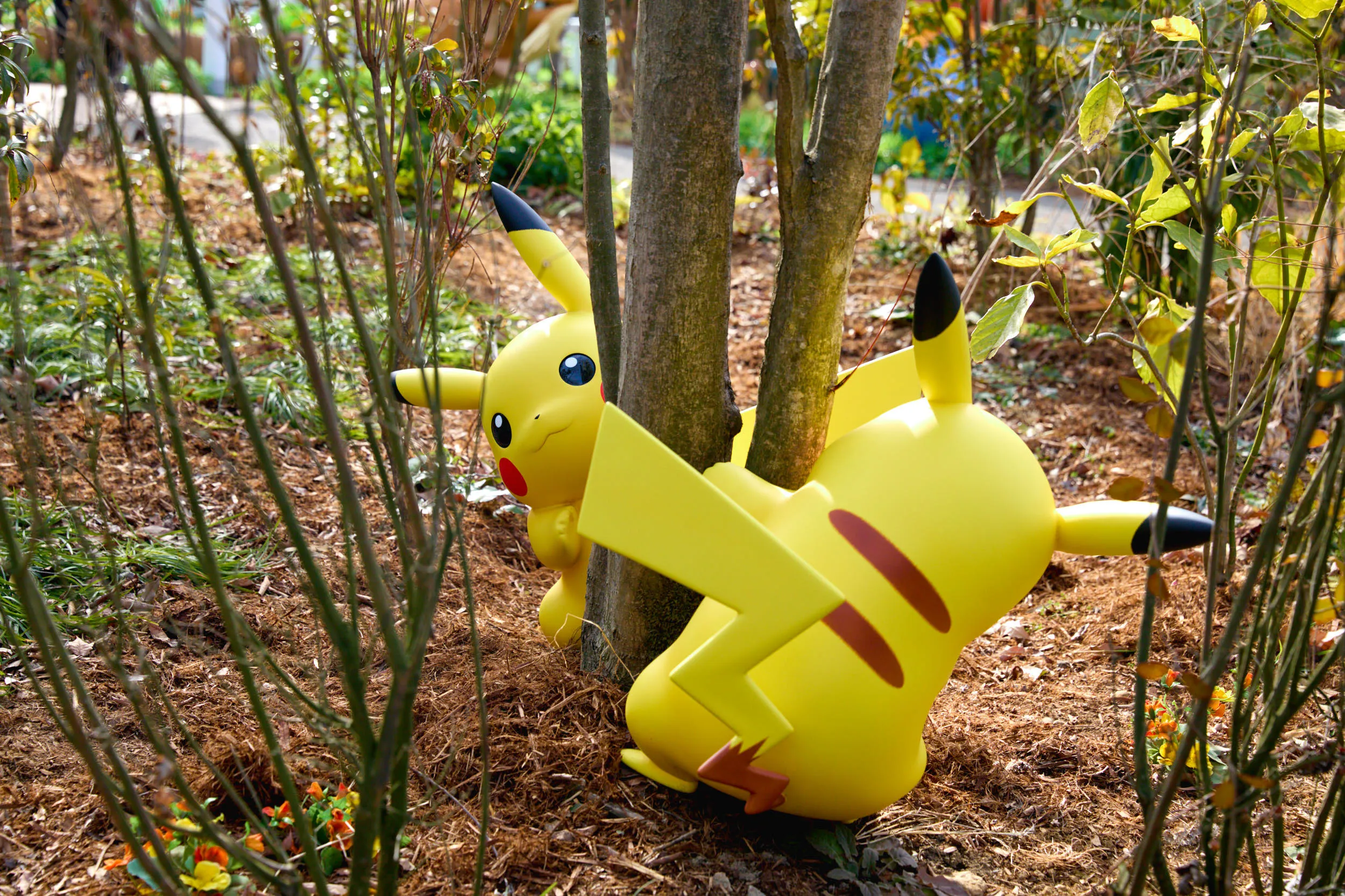 Pok&eacute;mon Forest, Pikachu