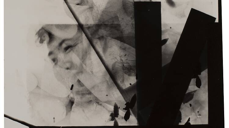 大西茂 写真と絵画