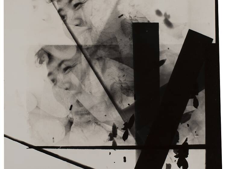 大西茂 写真と絵画