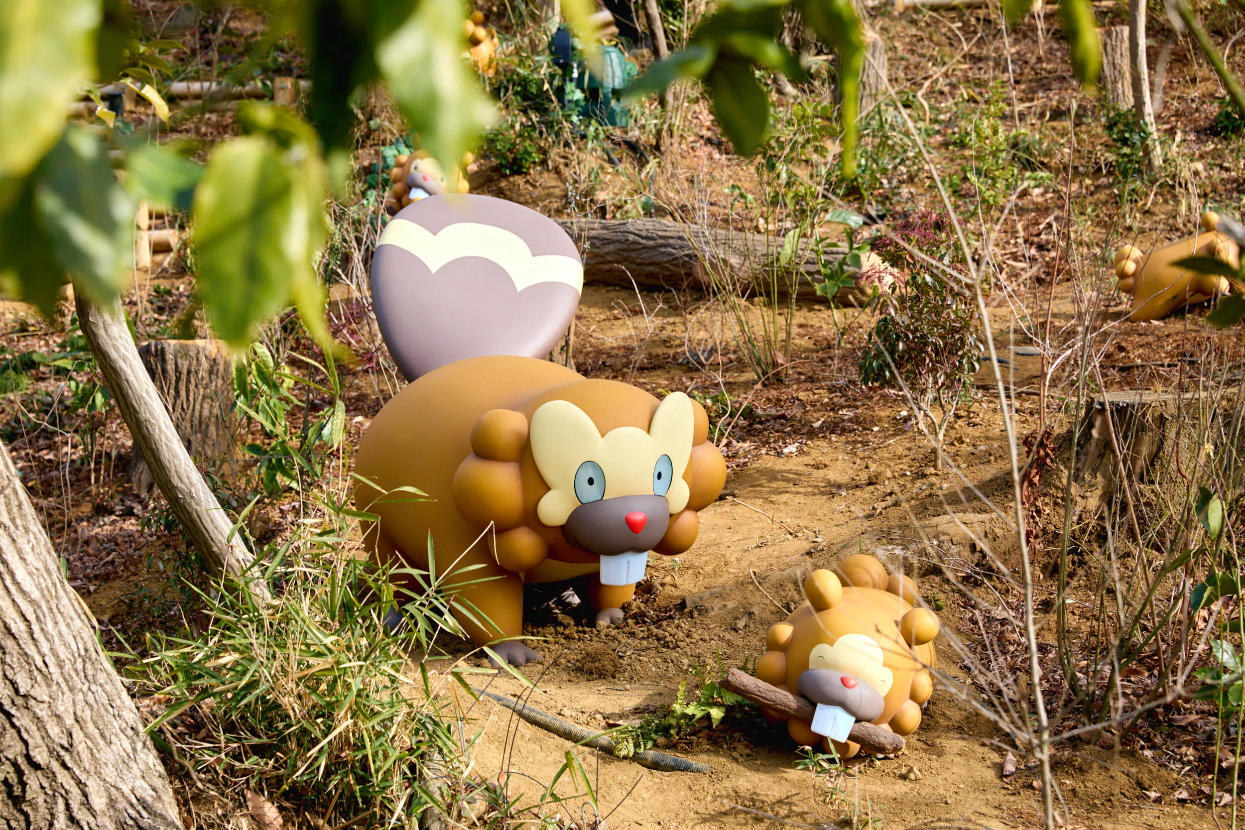 Pok&eacute;mon Forest, Bidoof