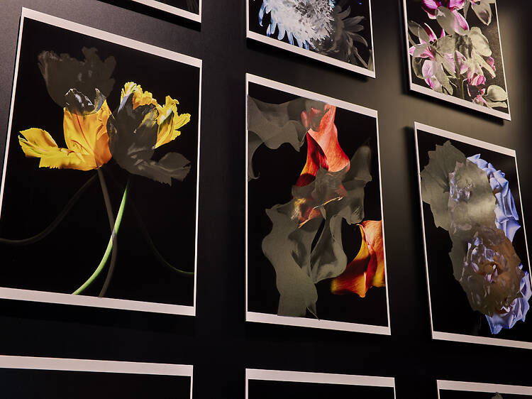 大阪、2月に行くべき無料のアート展10選