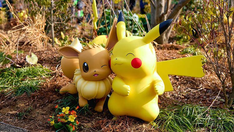 ポケパーク カントー