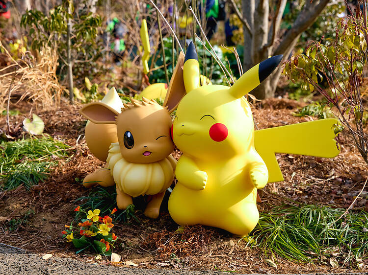 ポケパーク カントー