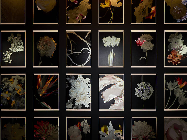 100 FLŌRA by Kenta Umemoto