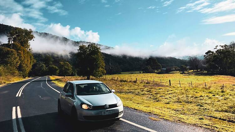 Car driving next to green grass