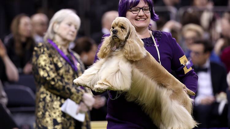 Here are the best things to do in NYC this weekend